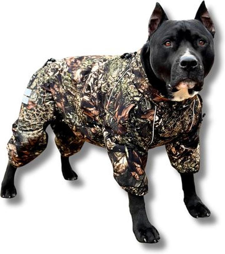 Szycie ubranek dla psa