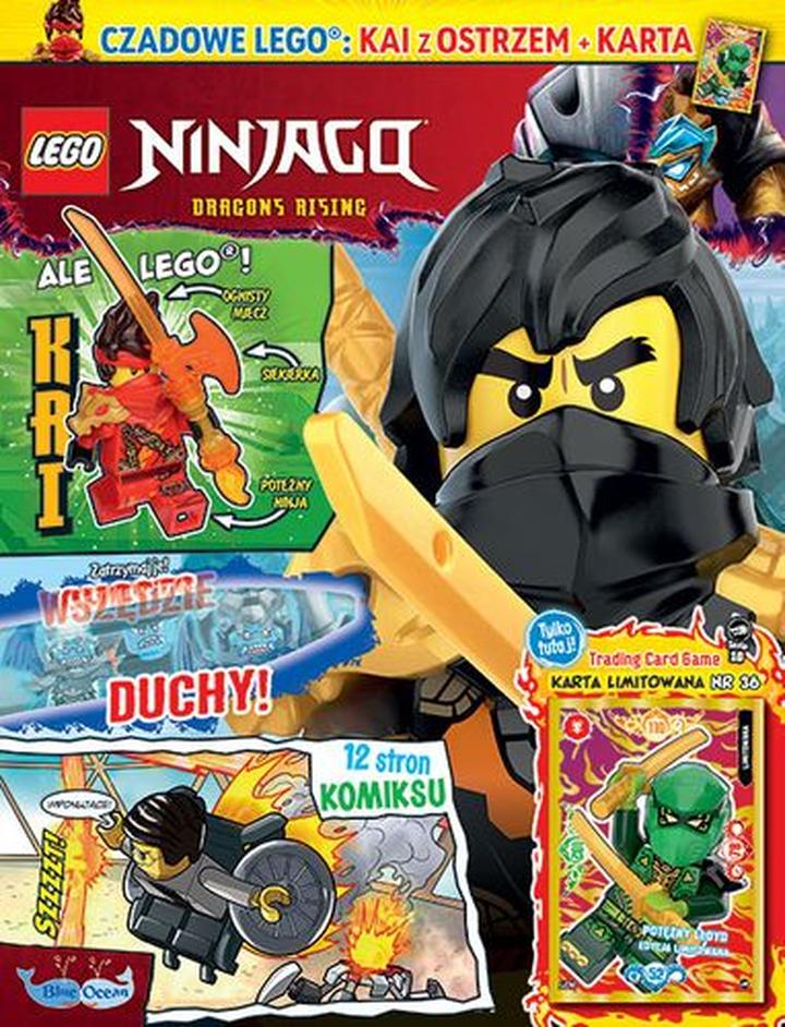 Jak zrobić kostium LEGO Ninjago